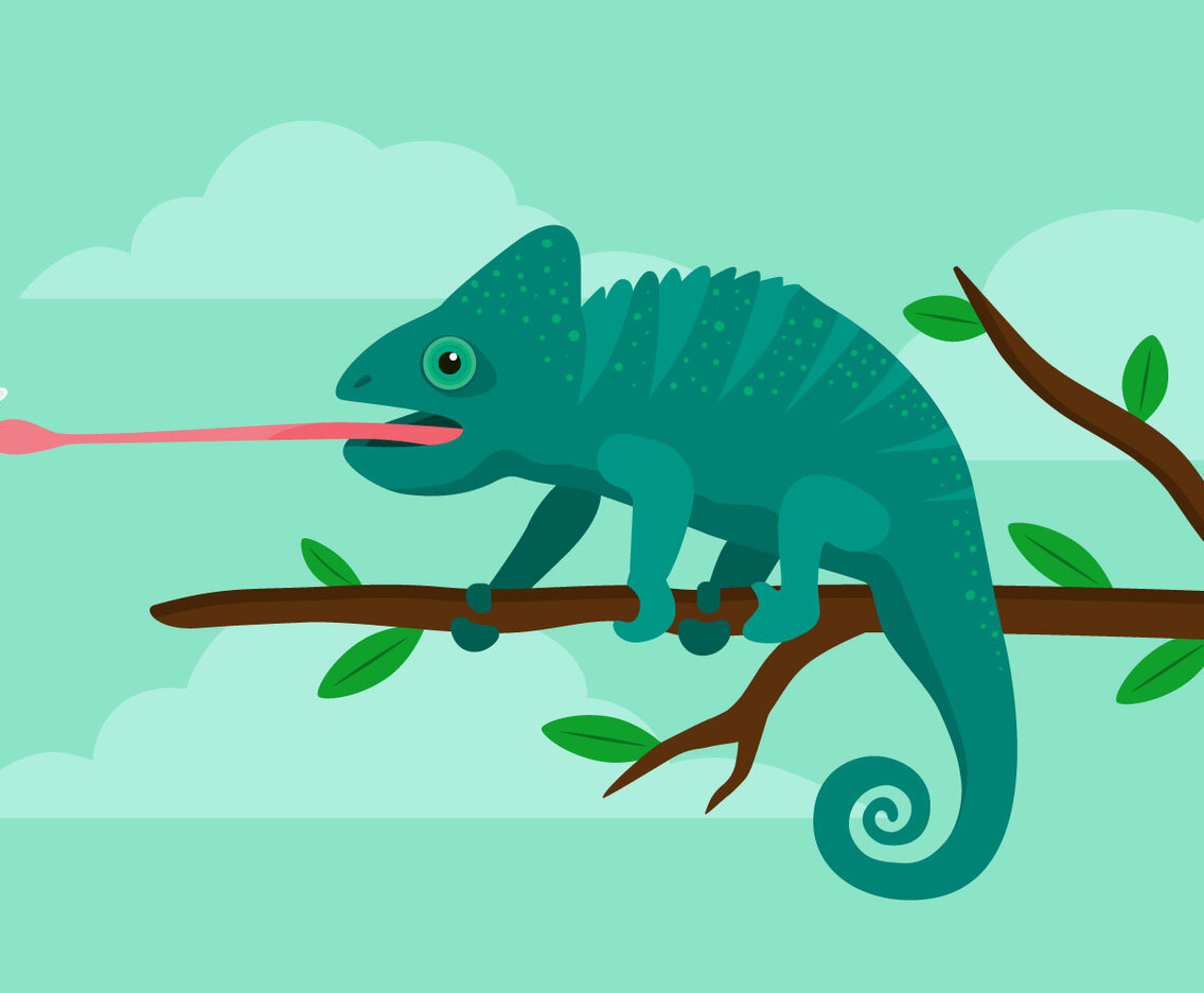 Chameleon Illustration