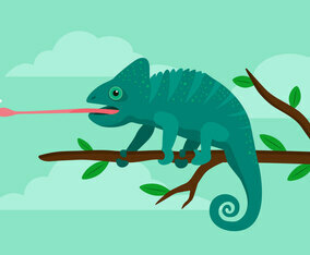 Chameleon Illustration
