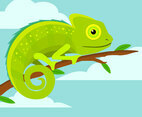 Cute Chameleon