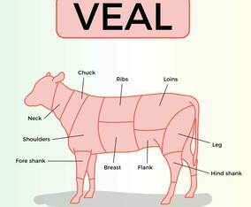 Free Veal Vector