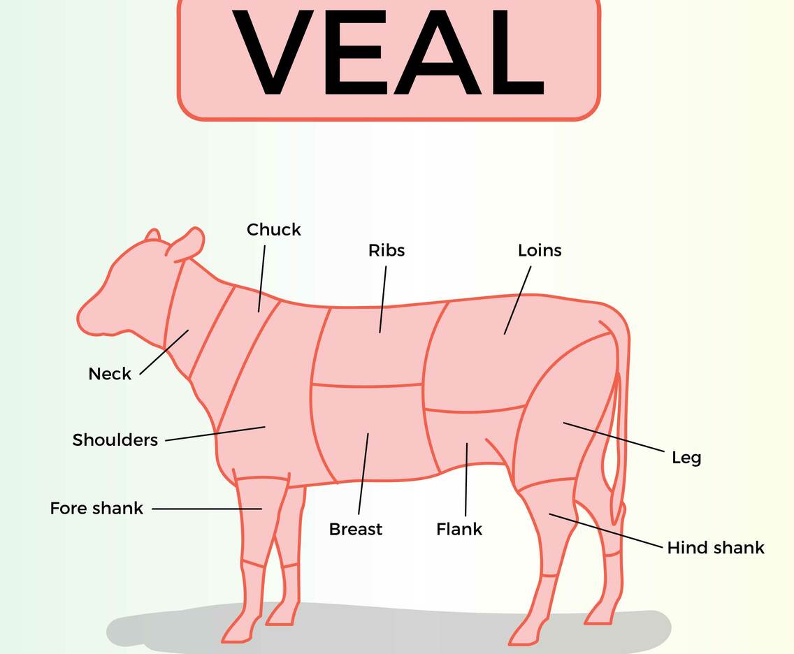 Free Veal Vector