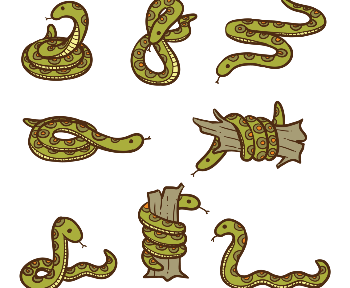 Anaconda Cartoon Vector