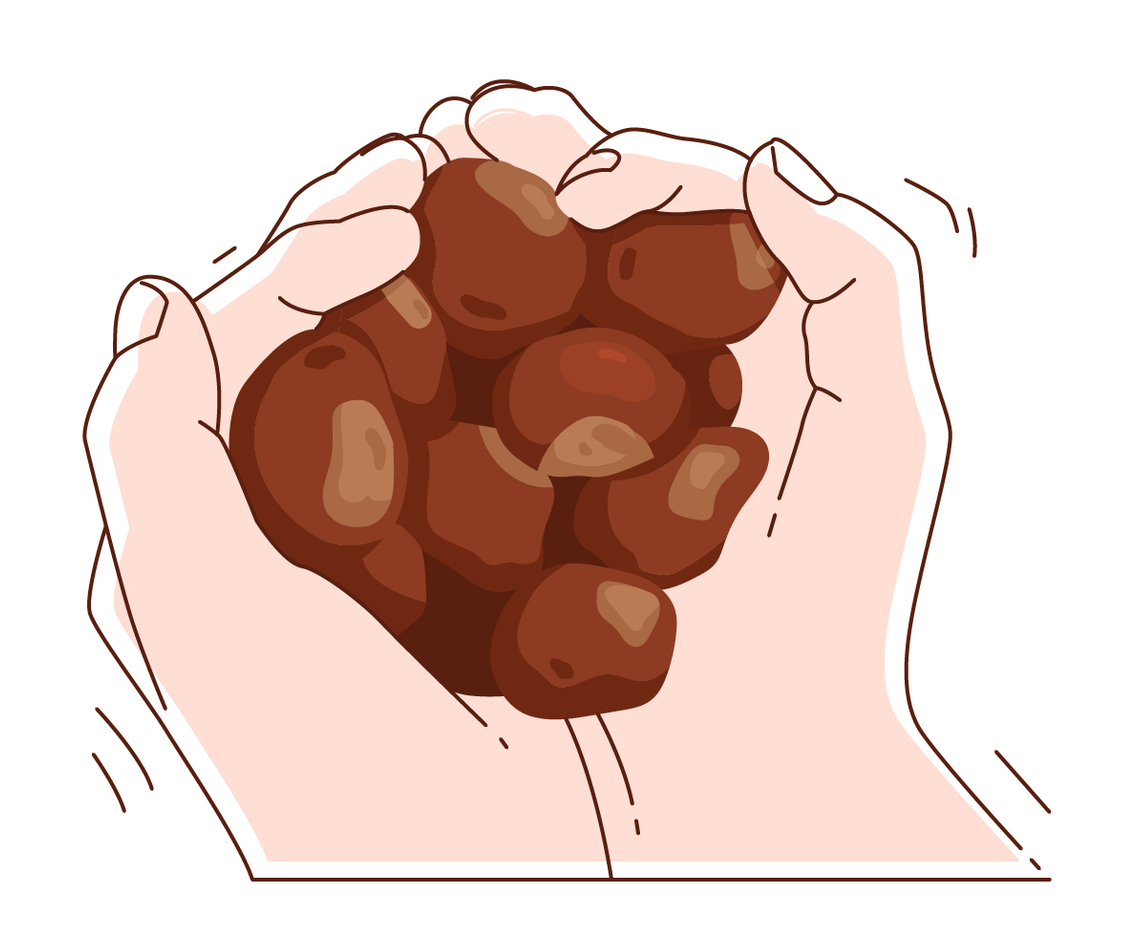 buckeyes in hand illustration