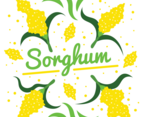 Sorghum Vector