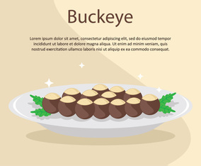 Buckeye Platter Illustration