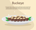 Buckeye Platter Illustration