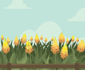 Sorghum Field Vector