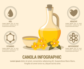 Canola Infographic