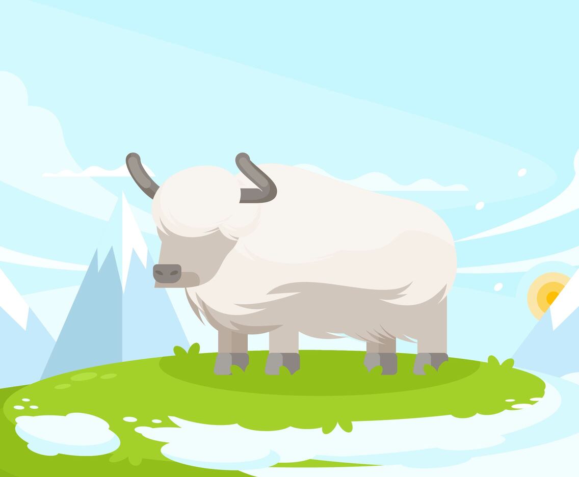 Yak Illustration