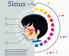 Flat Face And Sinus Illustration