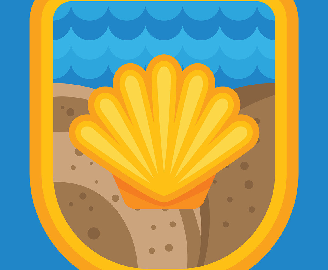Scallops Vector Illustration