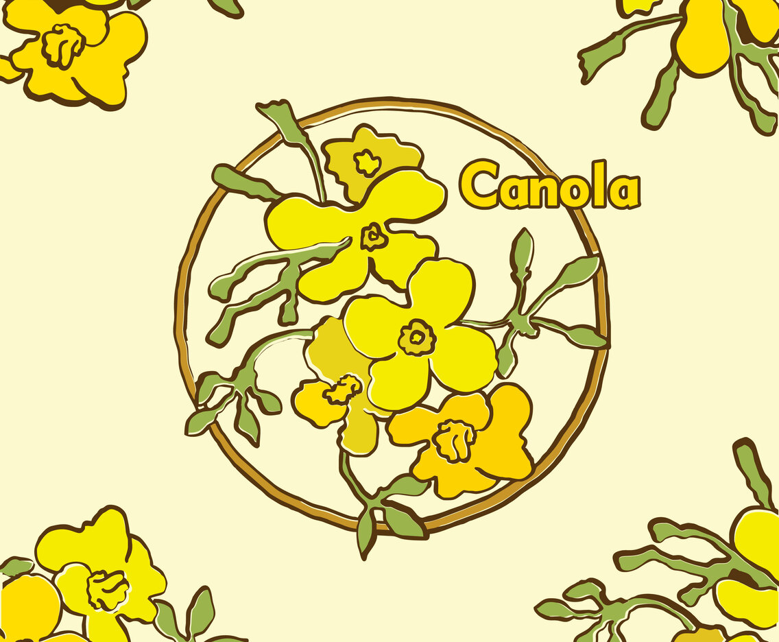Canola Flowers Vector