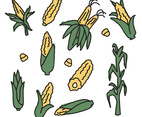 Corn Drawings