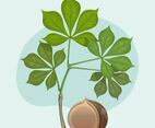 Buckeye With Leaf Vector Illustration