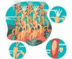 Corn Stalks Vector Illustration
