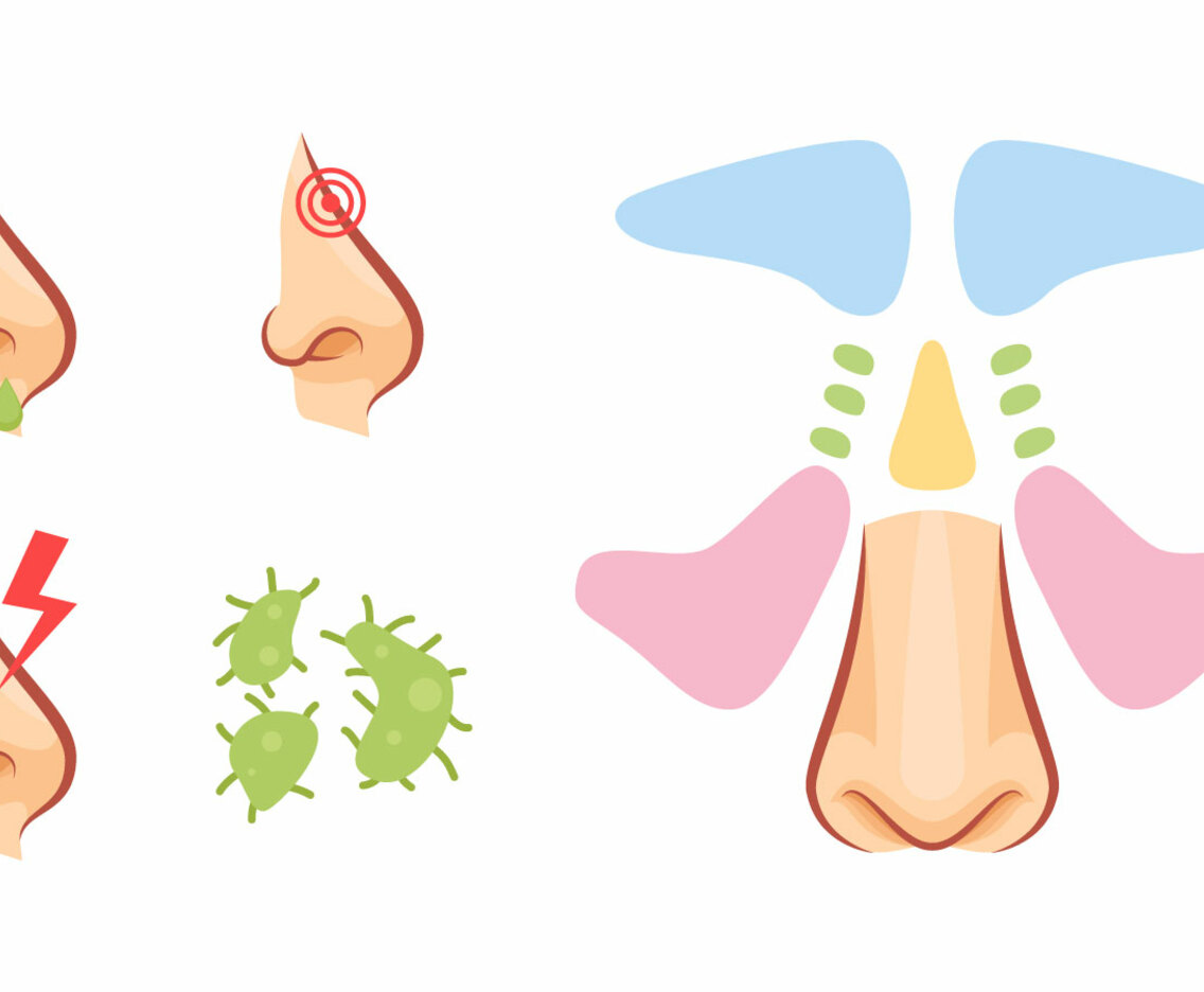Free Outstanding Sinus Vectors