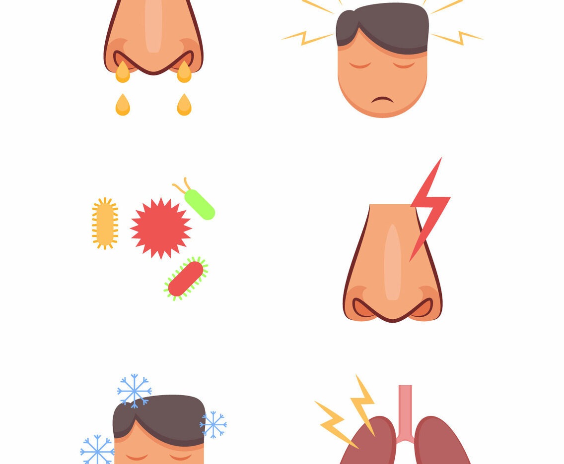 Free Outstanding Sinus Vectors