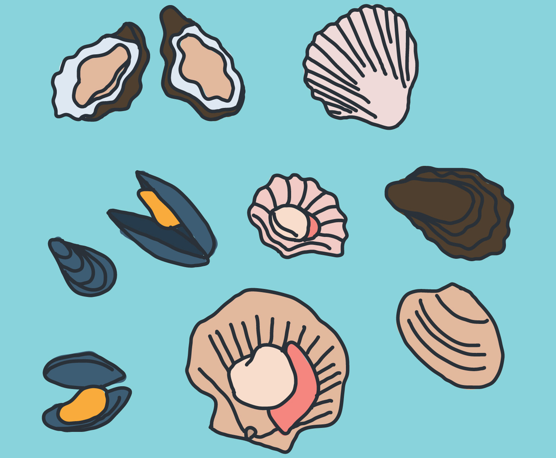Mollusk Doodles