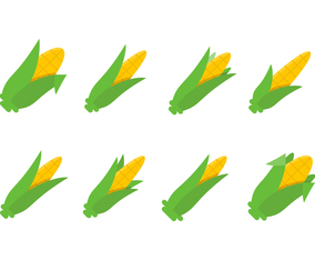 Free Outstanding Corn Stalks Vectors