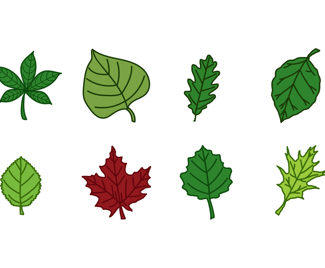 Leaves Icon Pack