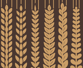 Vector Wheat Ears Icon Set