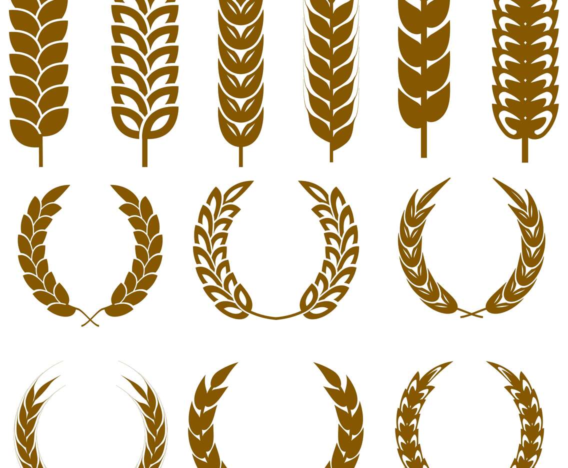Vector Wheat Ears Icon Set