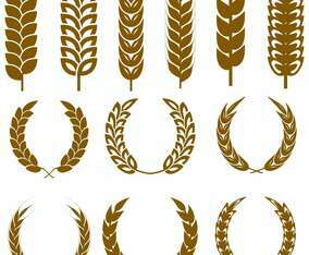 Vector Wheat Ears Icon Set