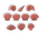 Shells Icon Vector