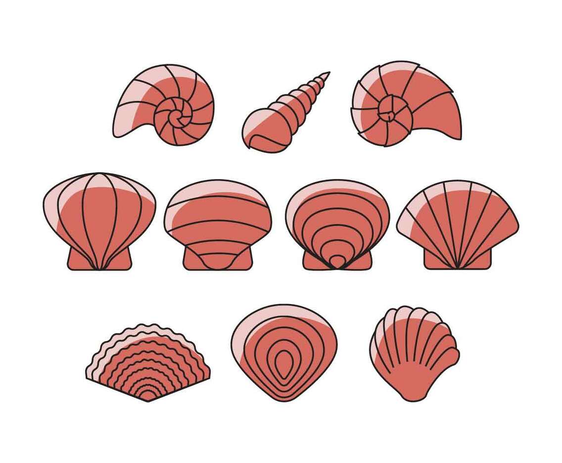 Shells Icon Vector