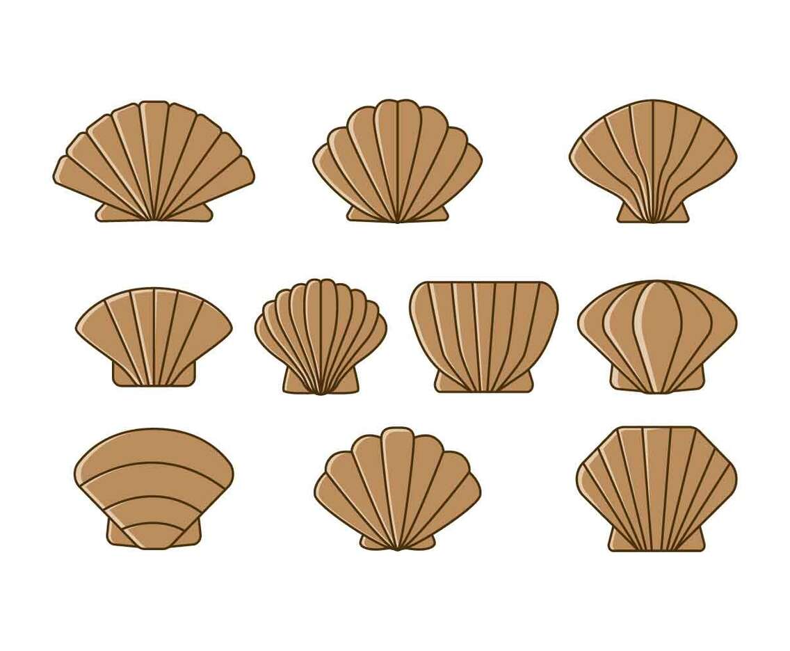 Free Scallops Icon Vector