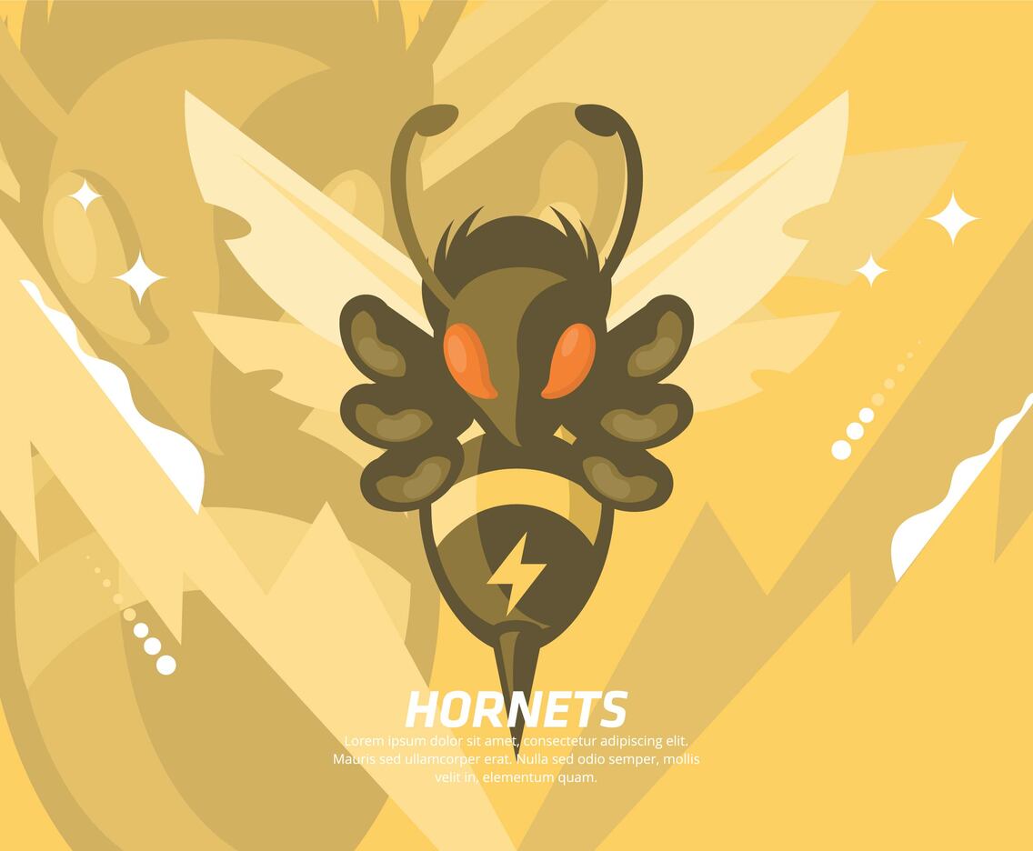 Hornet Illustration