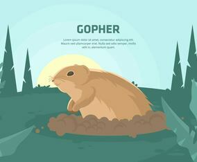 Gopher Illustration