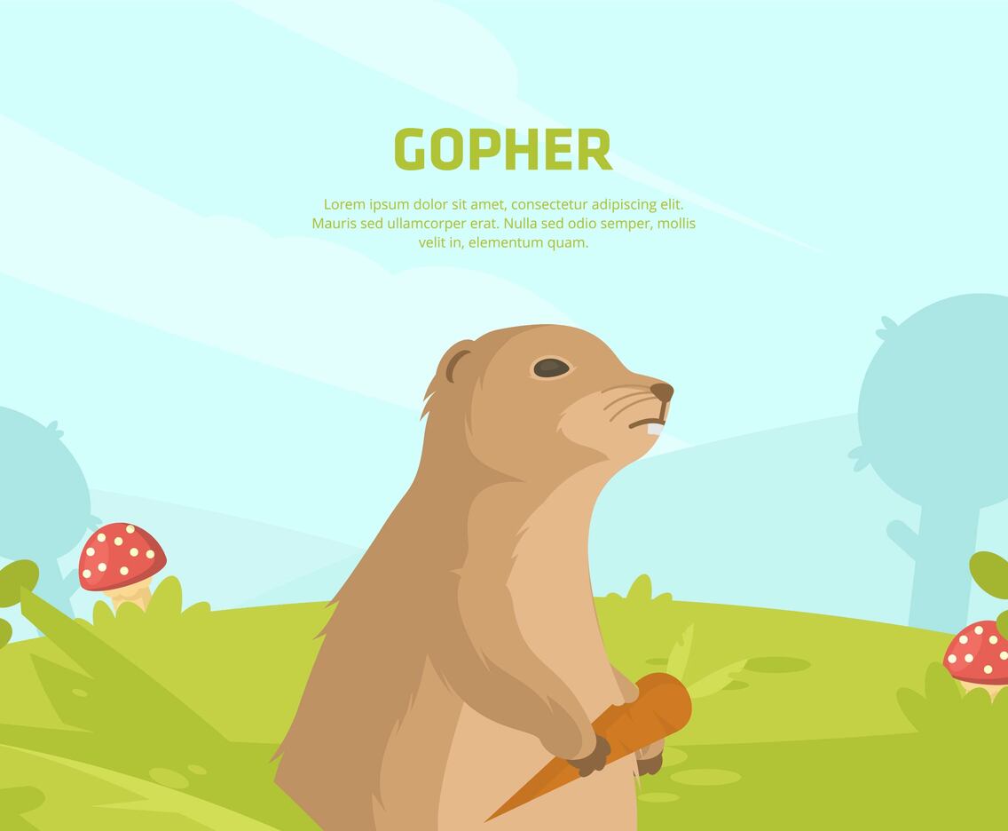 Gopher Illustration