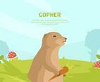 Gopher Illustration