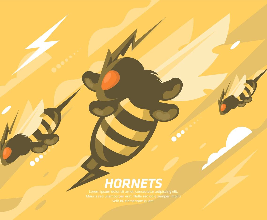 Hornet Illustration