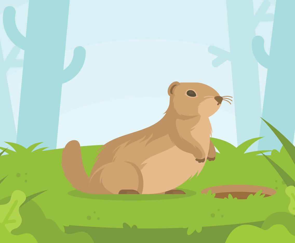 Gopher Illustration