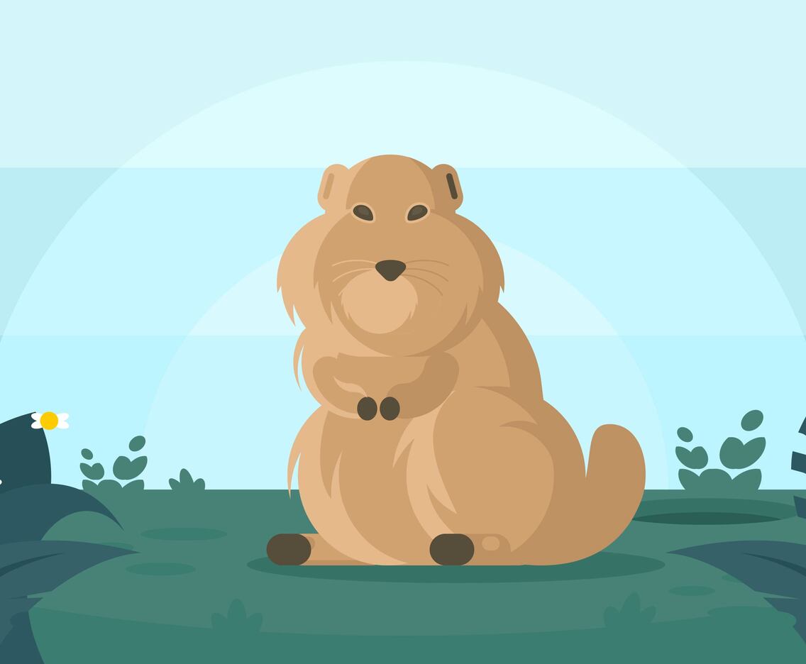 Gopher Illustration
