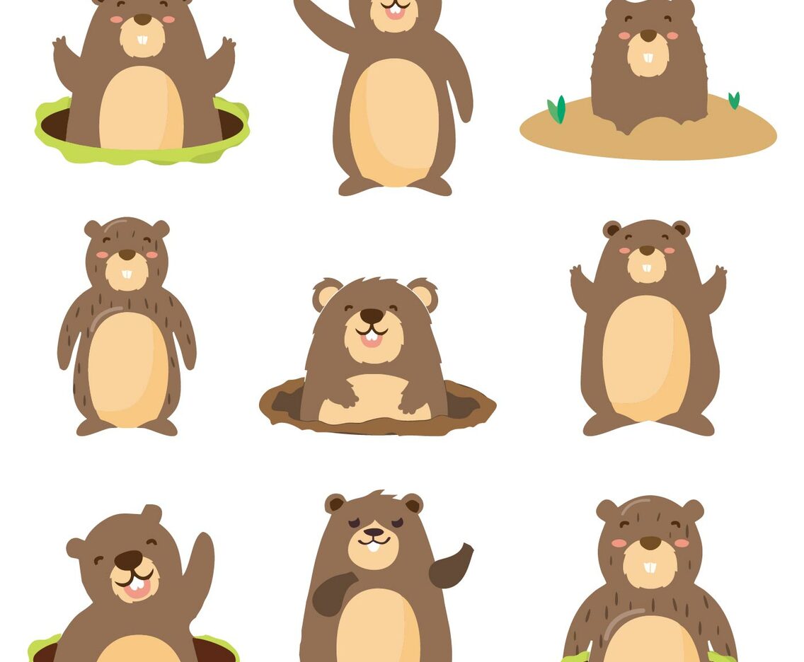 Flat Gopher with different Pose Vector