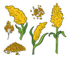 Sorghum Vector Icons