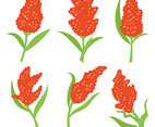 Sorghum Vector Icons