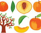 Peach Vectors