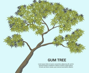 Gum Tree Vector Illustration