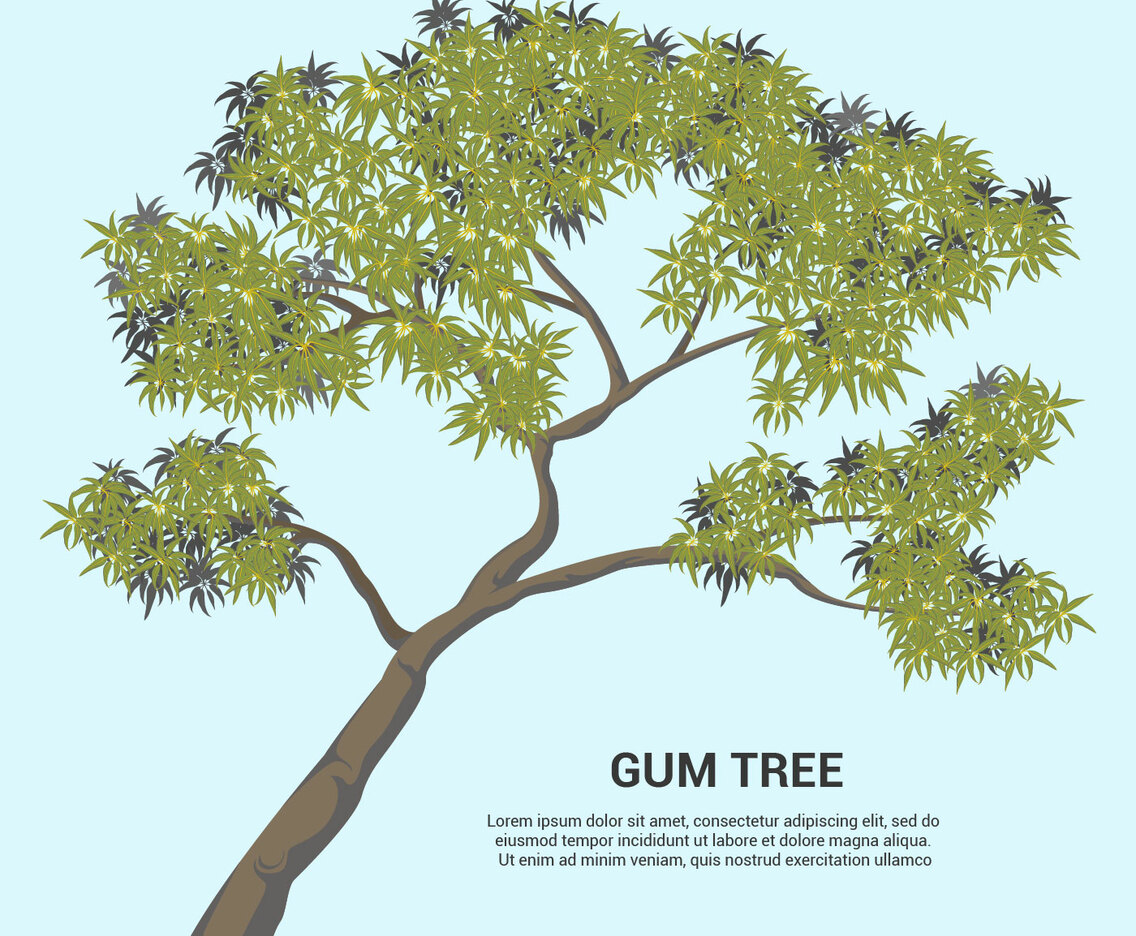 Gum Tree Vector Illustration