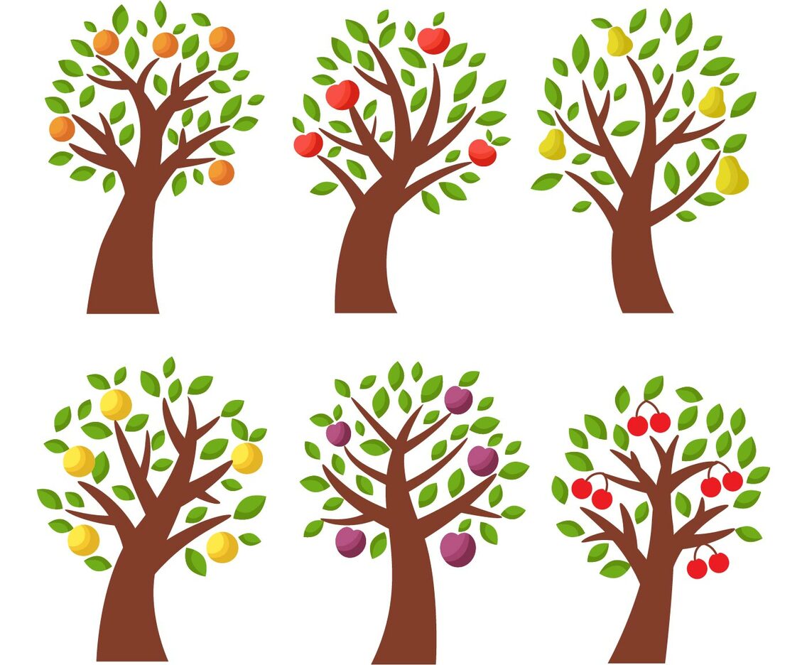 Free Fruits  Apple, Peach, Pear  Tree Vector