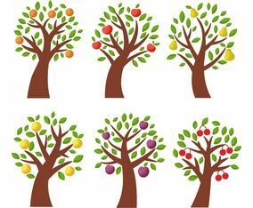 Free Fruits  Apple, Peach, Pear  Tree Vector