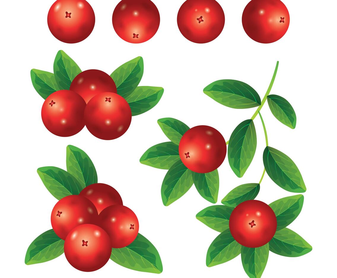 Cranberries Collection Set