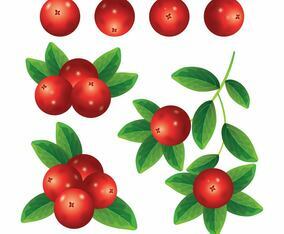 Cranberries Collection Set