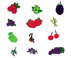 Berry Fruits Vectors
