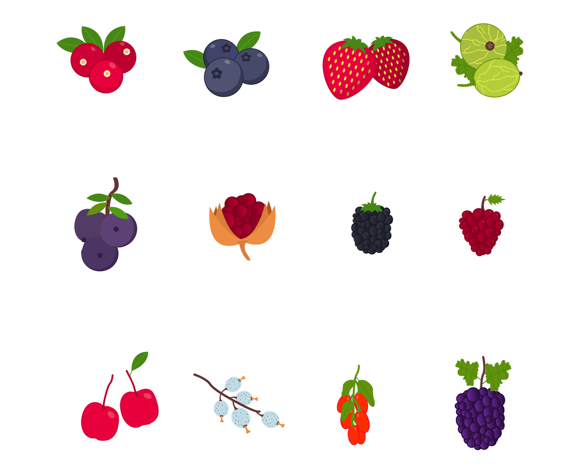 Berry Fruits Vectors