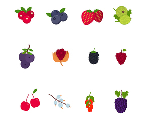 Berry Fruits Vectors